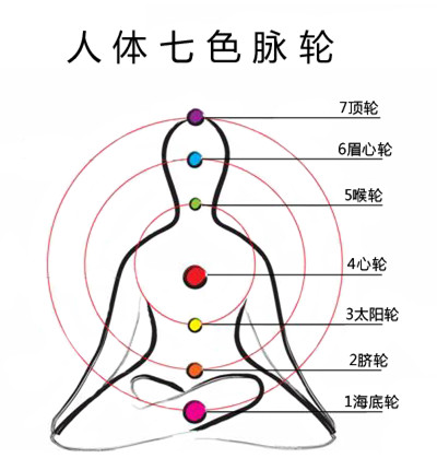 脊椎按摩器制作方法:中医理论看脊椎